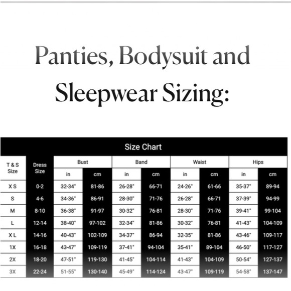 Thistle And Spire Verona Thong Panty Embroidered Mesh Crimson Red XS NWT - Picture 7 of 7